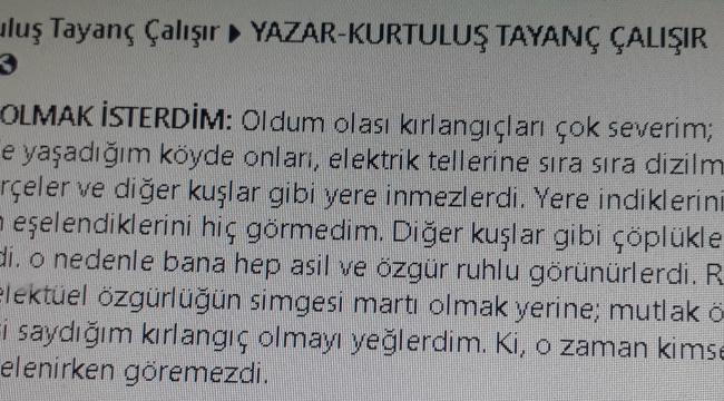 Cumhuriyet Savcısı Çalışır'dan dikkat çeken paylaşım:'KIRLANGIÇ OLMAK İSTERDİM'