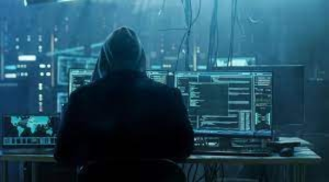 Kamu kurumlarına ait 450 internet sitesine siber saldırı düzenleyen 'hacker'lara operasyon