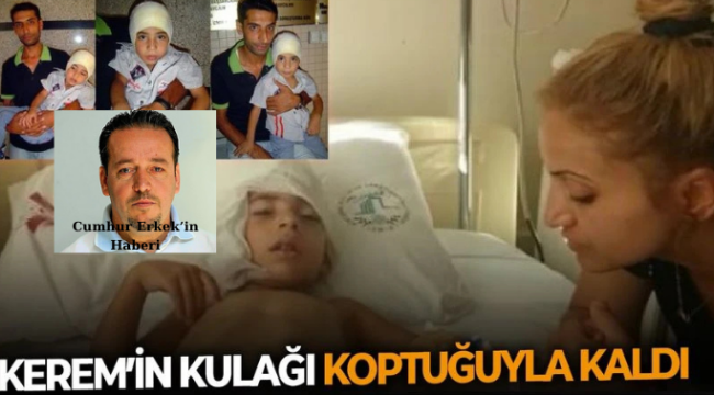Köpeğin sahibi öldü dava düştü