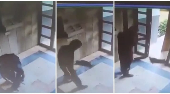 Mahkeme indirim uygulamadı:'Cezve'yi öldüren katilin cezası belli oldu'