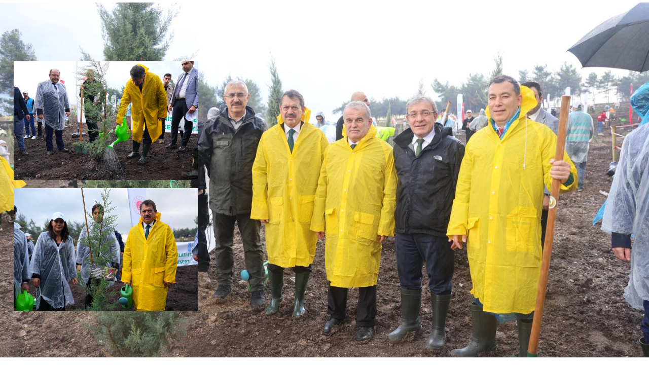 İZMİR BAŞSAVCISI ALİ YELDAN '11 KASIM MİLLİ AĞAÇLANDIRMA' ETKİNLİĞİNE KATILDI